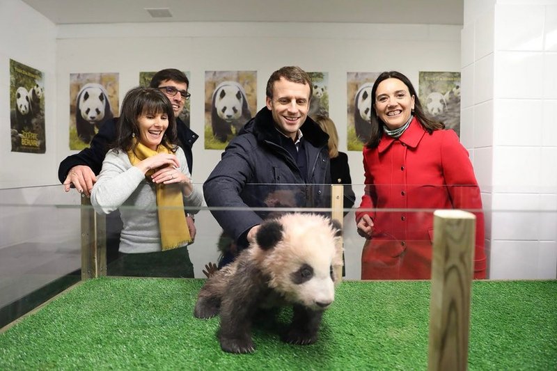 France - golden panda online casino