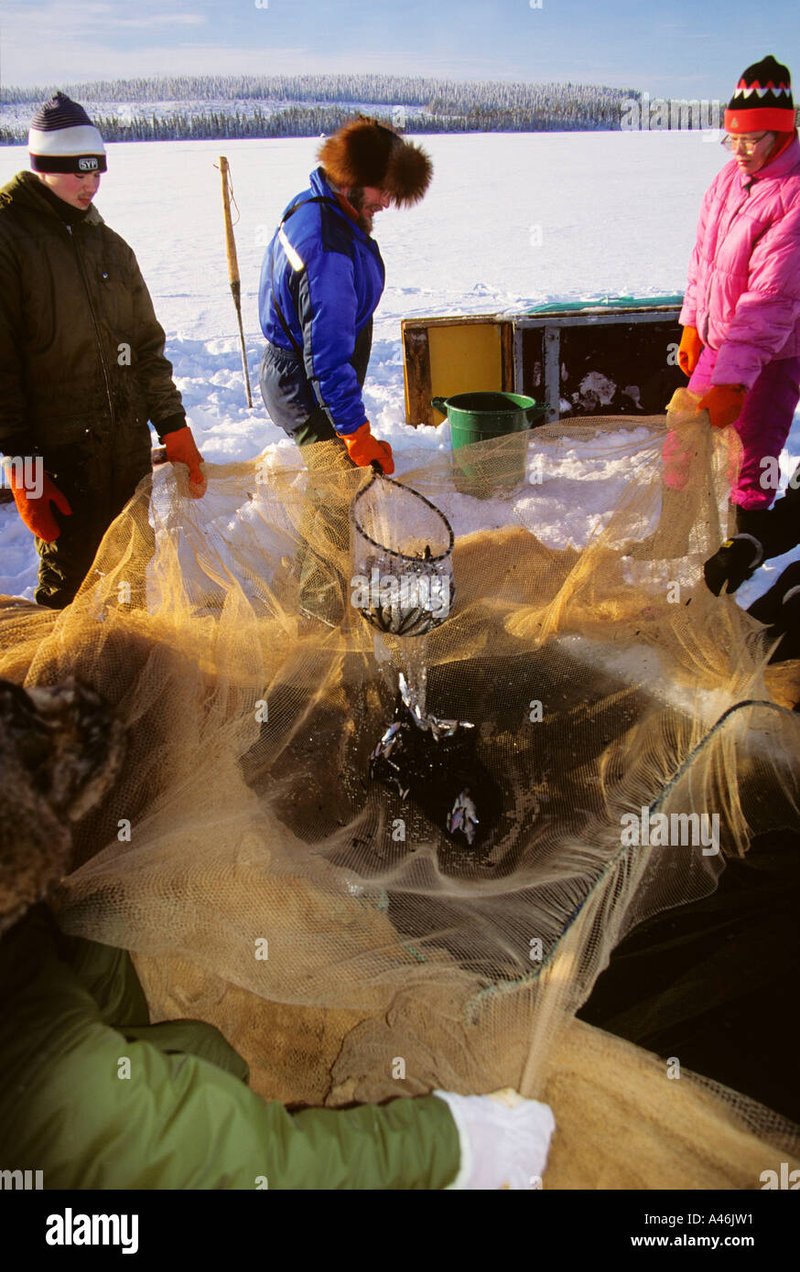 Eisklares Erobern: Das spannende Online-Icefishing-Erlebnis für deutsche